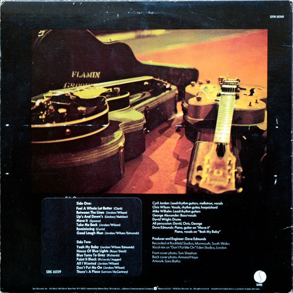 Flamin' Groovies* : Now (LP, Album, Los)