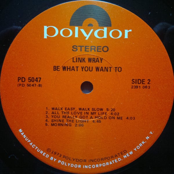 Link Wray : Be What You Want To (LP, Album, Scr)