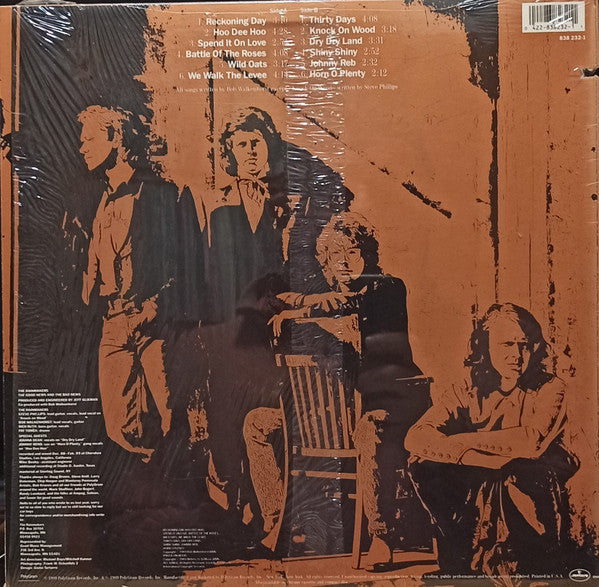 The Rainmakers (2) : The Good News And The Bad News (LP, Album)