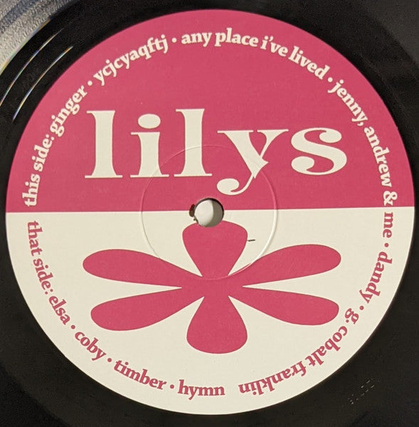 Lilys : A Brief History Of Amazing Letdowns (LP, RE, RM)