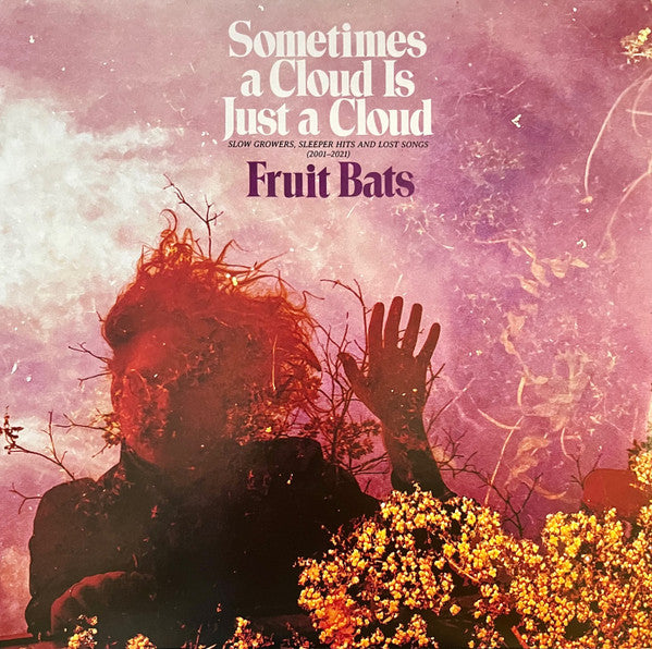 Fruit Bats : Sometimes A Cloud Is Just A Cloud: Slow Growers, Sleeper Hits, And Lost Songs (2001-2021) (2xLP, Dlx, Pin)