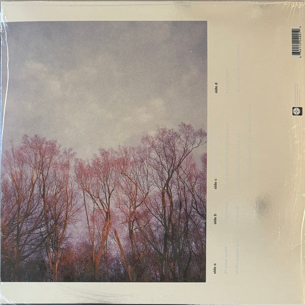 American Football : American Football (2xLP, Album, Dlx, Ltd, RE, RM, Sil)