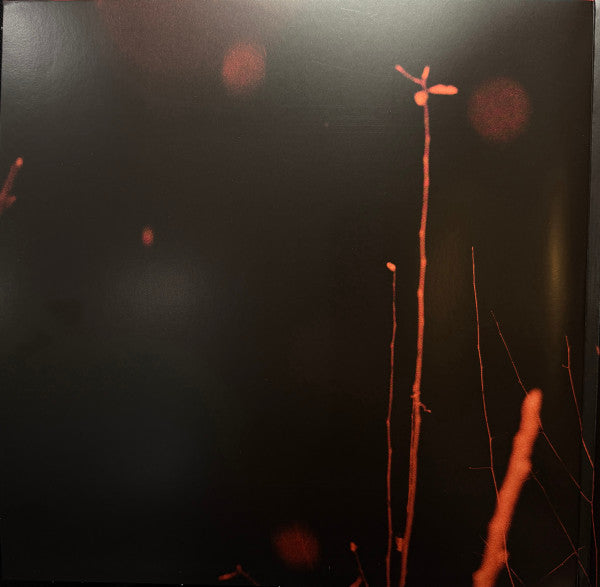 American Football : American Football (2x12", Album, Gol)