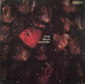 Nine Days Wonder* : Nine Days' Wonder (LP, Album, RP)