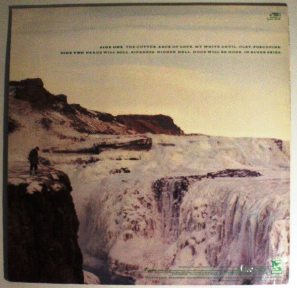 Echo & The Bunnymen : Porcupine (LP, Album)