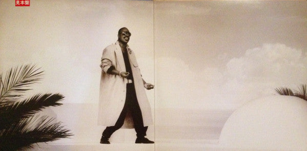 Stevie Wonder : In Square Circle (LP, Album, Promo, Gat)