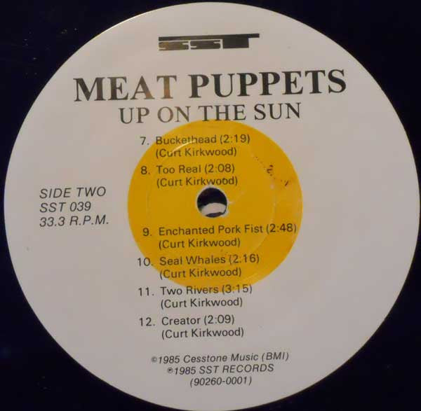 Meat Puppets : Up On The Sun (LP, Album)